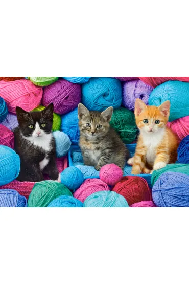 Puzzle 1000 el. Kittens in Yarn Store Castorland