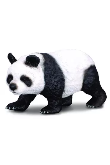 Panda wielka