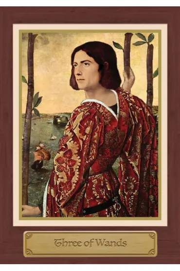 Touchstone Tarot, karty do wr�enia