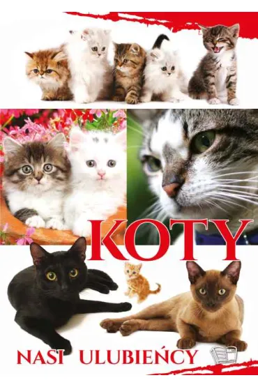 Koty. Nasi ulubie�cy