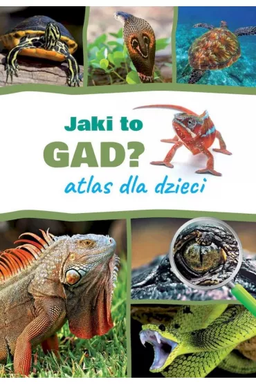 Jaki to gad? Atlas dla dzieci - Jacek Twardowski