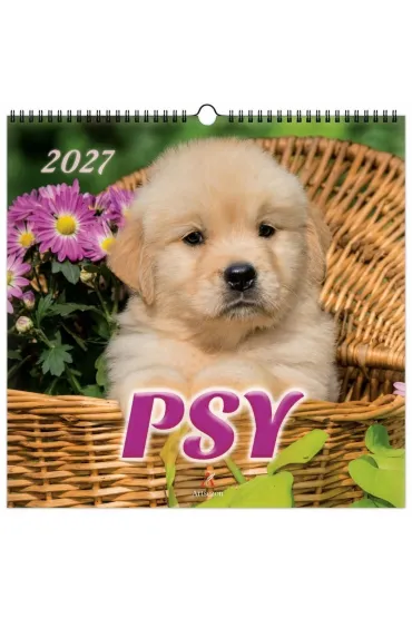 Kalendarz 2027 wieloplanszowy 33x33cm Psy
