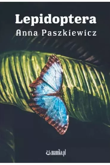 Lepidoptera - Anna Paszkiewicz