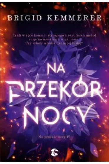 Audiobook Na przekr nocy. Tom 1 mp3 - Brigid Kemmerer