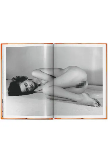 The Little Big Book of Pussy wer. angielska - Dafaux Marini, Dian Hanson
