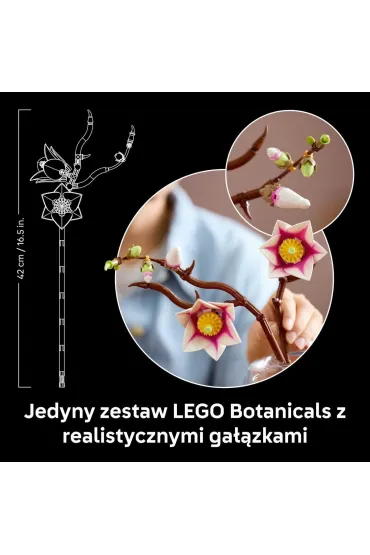 LEGO Botanicals Ga��zki magnolii 11510