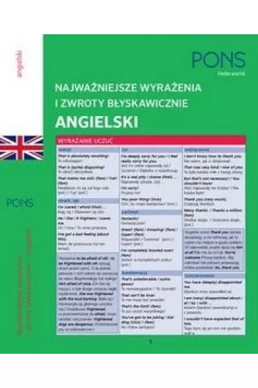 Najwa�niejsze wyra�enia i zwroty b�yskawiczne zwroty Angielski
