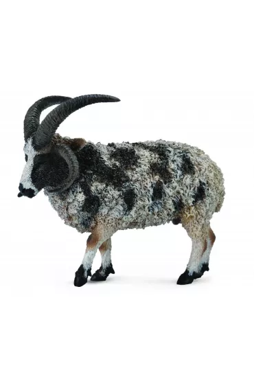 Owca wielorga