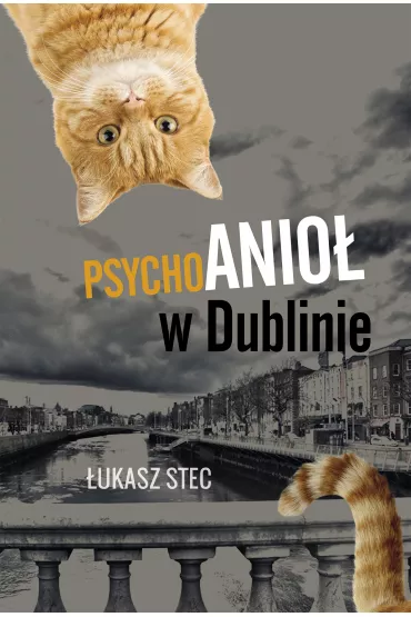 Psychoanio� w dublinie - �ukasz Stec
