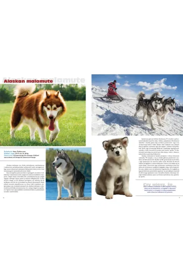 Psy rasowe. Podr�czna encyklopedia