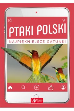 Ptaki polski /2019/ N