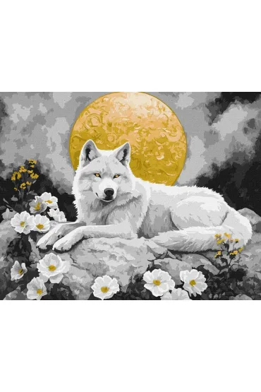 Ideyka Malowanie po numerach - Pod blaskiem ksi�yca 40x50cm