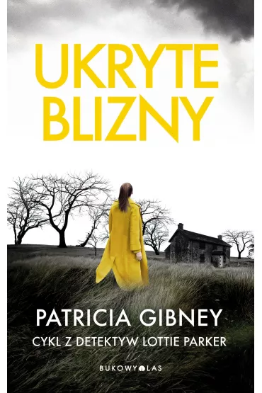 Ukryte blizny. Lottie Parker. Tom 2 - Patricia  Gibney
