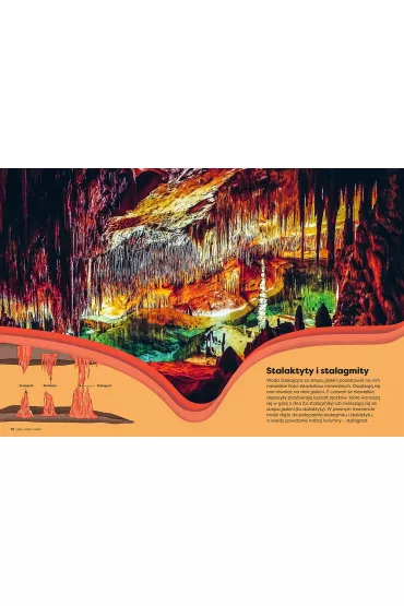Britannica Encyklopedia Infografika - Andrew  Pettie, Valentina D’Efilippo, Conrad Quilty-Harper