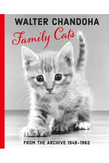 Family Cats. From the Archive 1949-1962 - Walter  Chandoha