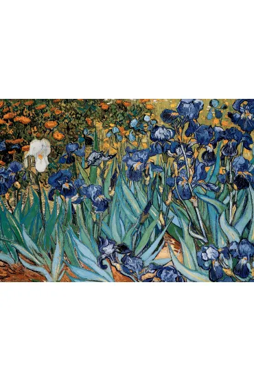 Puzzle 1000 el. Irysy Vincent van Gogh Eurographics