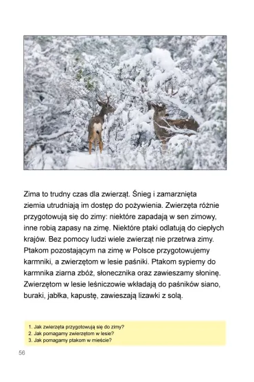 M�j rok Podr�cznik dla uczni�w z niepe�nosprawno�ci� intelektualn� - Agnieszka Borowska-Kociemba