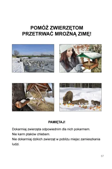 M�j rok Podr�cznik dla uczni�w z niepe�nosprawno�ci� intelektualn� - Agnieszka Borowska-Kociemba