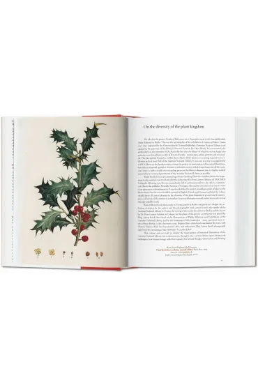 A Garden Eden. Masterpieces of Botanical Illustration. 40th Ed. wer. angielsko-francusko-niemiecka - Dafaux Marini, Hans Walter Lack