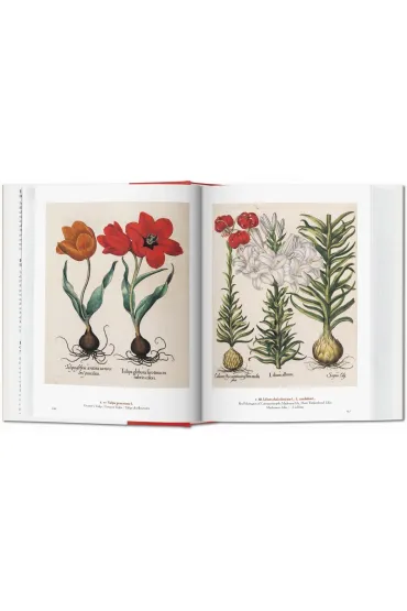 A Garden Eden. Masterpieces of Botanical Illustration. 40th Ed. wer. angielsko-francusko-niemiecka - Dafaux Marini, Hans Walter Lack