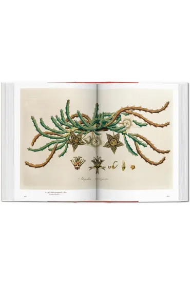 A Garden Eden. Masterpieces of Botanical Illustration. 40th Ed. wer. angielsko-francusko-niemiecka - Dafaux Marini, Hans Walter Lack