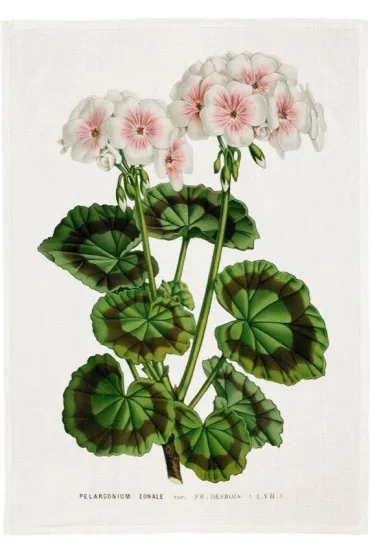 R�cznik kuchenny - Bia�a pelargonia