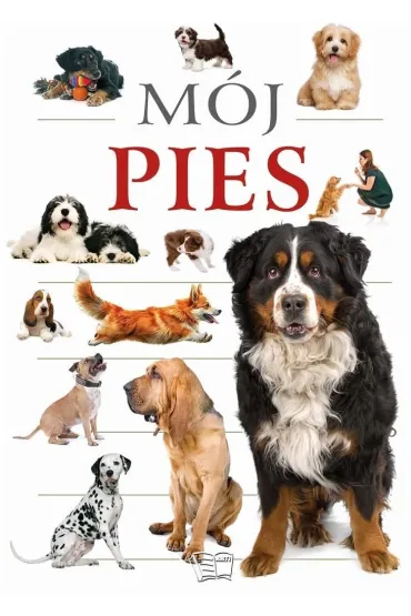 M�j pies