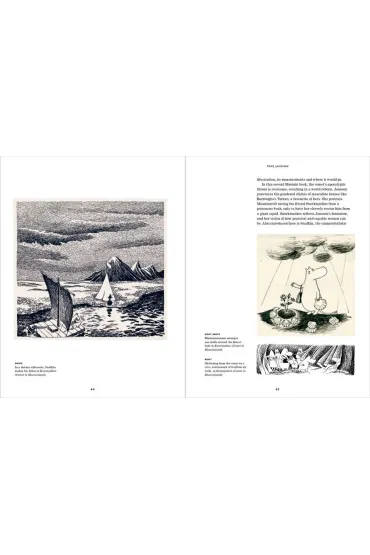 Tove Jansson wer. angielska - Paul  Gravett