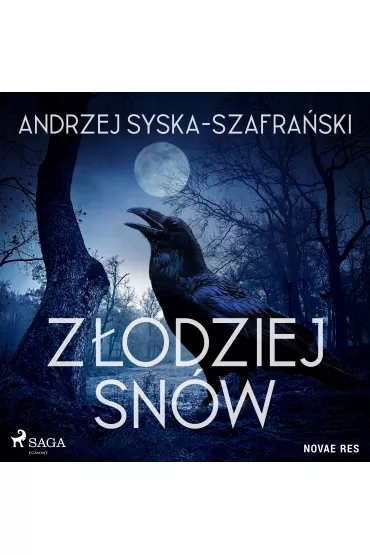 Audiobook Zodziej snw mp3 - Andrzej Syska-Szafraski