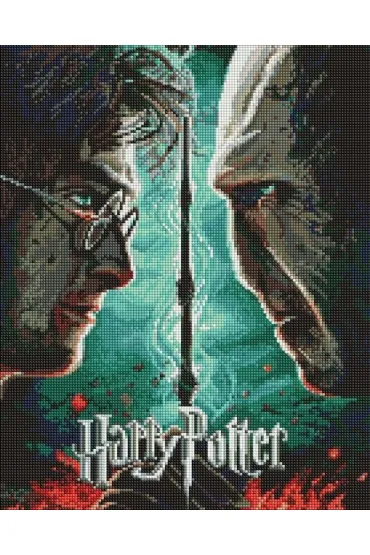 Diamentowa mozaika - Harry Potter 40x50cm