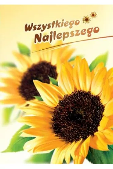Art Nuvo Karnet B6 Kwiaty - Wszystkiego najlepszego