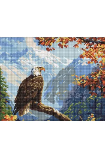 Ideyka Diamentowa mozaika - Stra�nik szczytu 40x50cm