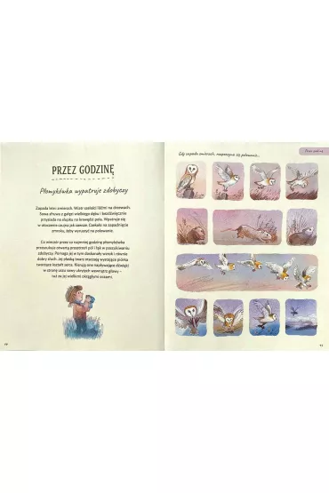 Warto czeka�. Opowie�ci 5 minut przed snem - Rachel Wiliams