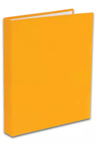 Penmate Segregator A5/2 pomara�czowy