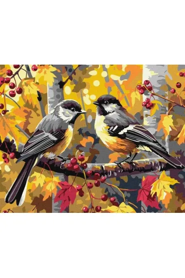 Ideyka Malowanie po numerach - Para niebieskich ptak�w 40x50cm