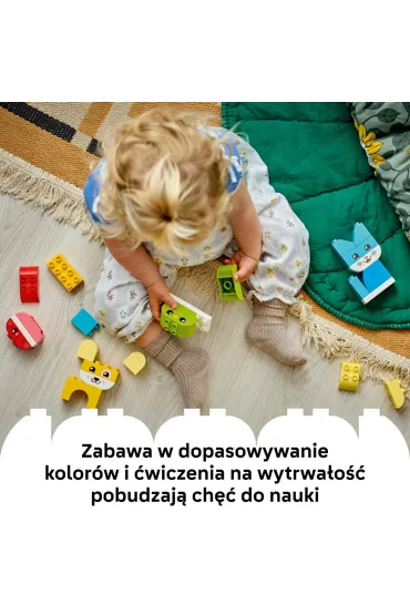 LEGO DUPLO Kreatywne zwierzaki 3 w 1 10477