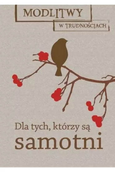 Modlitwy w trudno�ciach. Dla tych, kt�rzy s� samotni