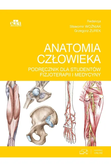Anatomia cz�owieka. Podr�cznik dla student�w fizjoterapii i medycyny - Grzegorz �urek