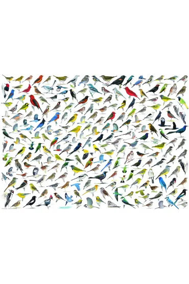 Puzzle 1000 el. �wiat ptak�w Eurographics