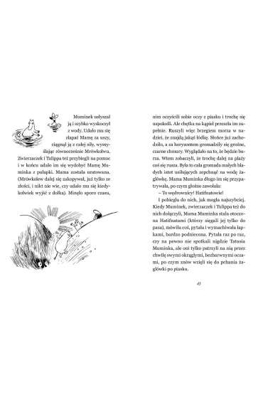 Muminki i du�a pow�d� - Tove Jansson