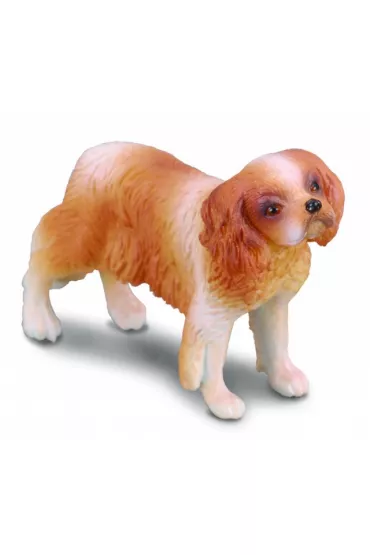 Collecta Pies Rasy Spaniel Cavalier King Cha Rozmiar M