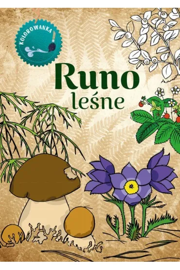 Runo le�ne. Kolorowanka - Katarzyna Kopiec-Sekieta