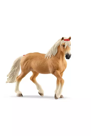 Klacz rasy haflinger