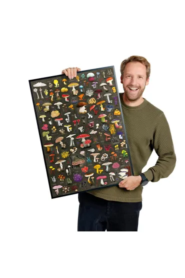 Puzzle Puzzlove CzuCzu 1000 el. Grzyby Bright Junior Media