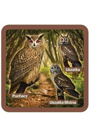 Soliton Podk�adki pod kubek z sowami, zestaw 2 szt