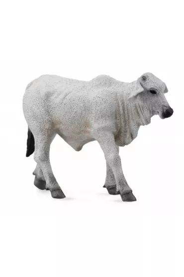 Collecta Ciel� Brahman Rozmiar S