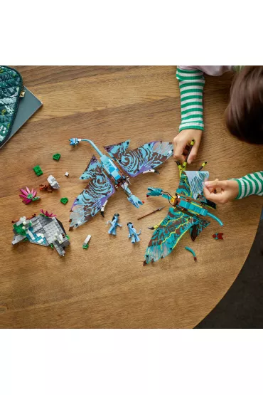 LEGO Avatar Pierwszy lot na zmorze Jake'a i Neytiri 75572