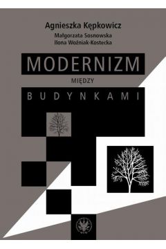 eBook Modernizm midzy budynkami pdf