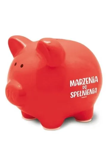 Skarbonka Pastel-Marzenia do spe�nienia Pan Dragon