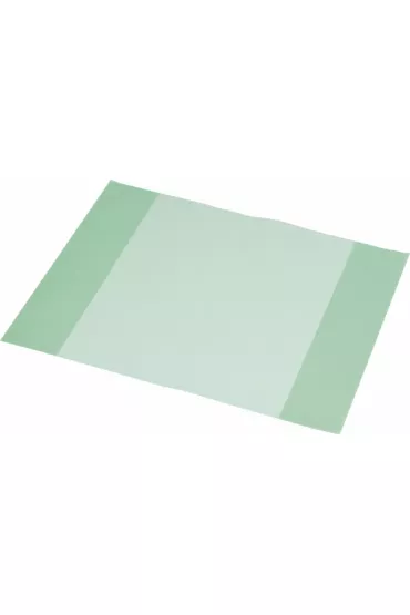 Panta Plast Ok�adka na zeszyt A4 zielona 10 szt.